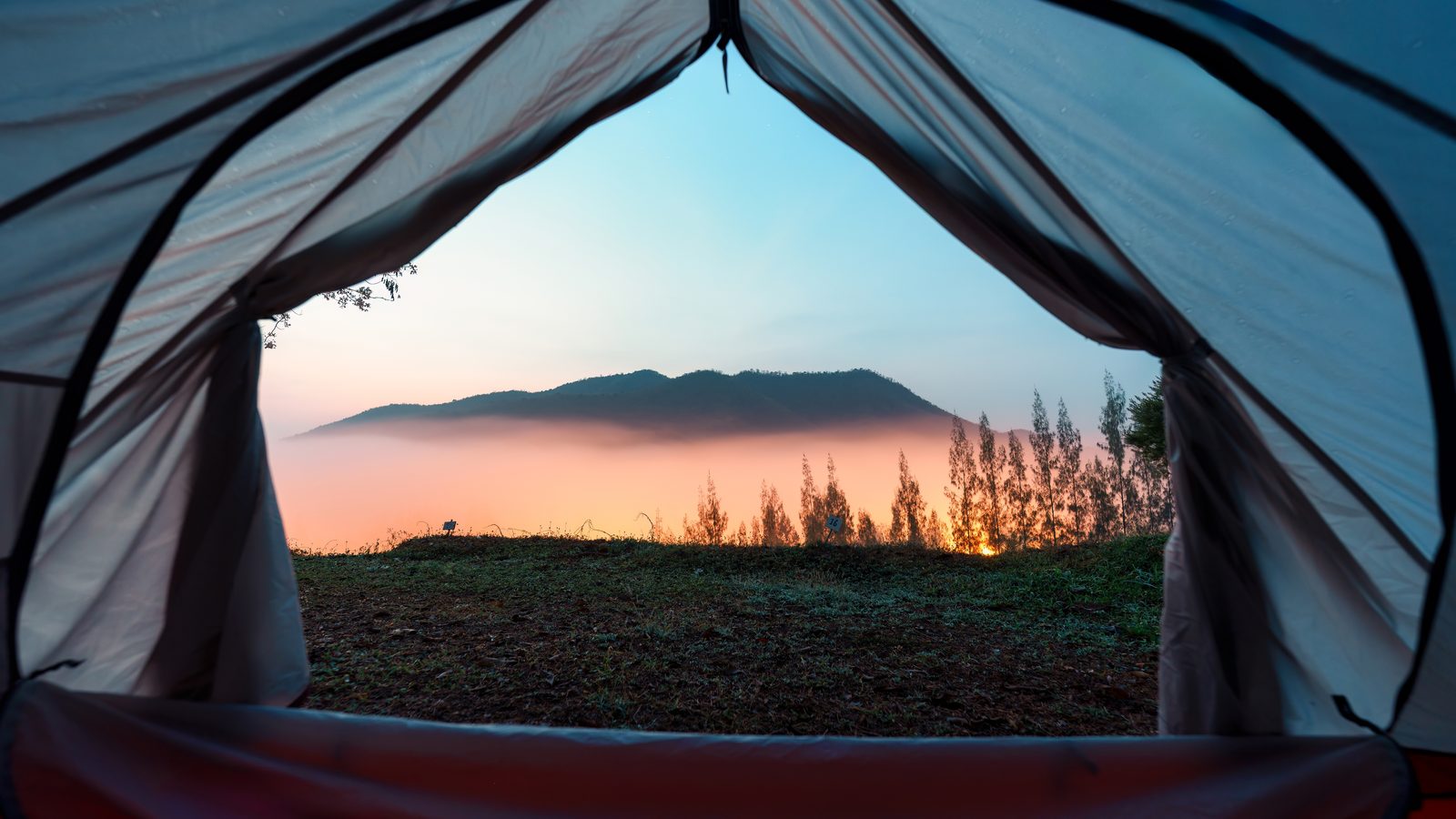The view out of a tent doorway at dawn