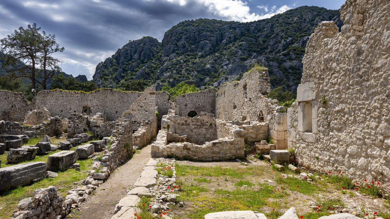 La côte entre Olympos et Çıralı