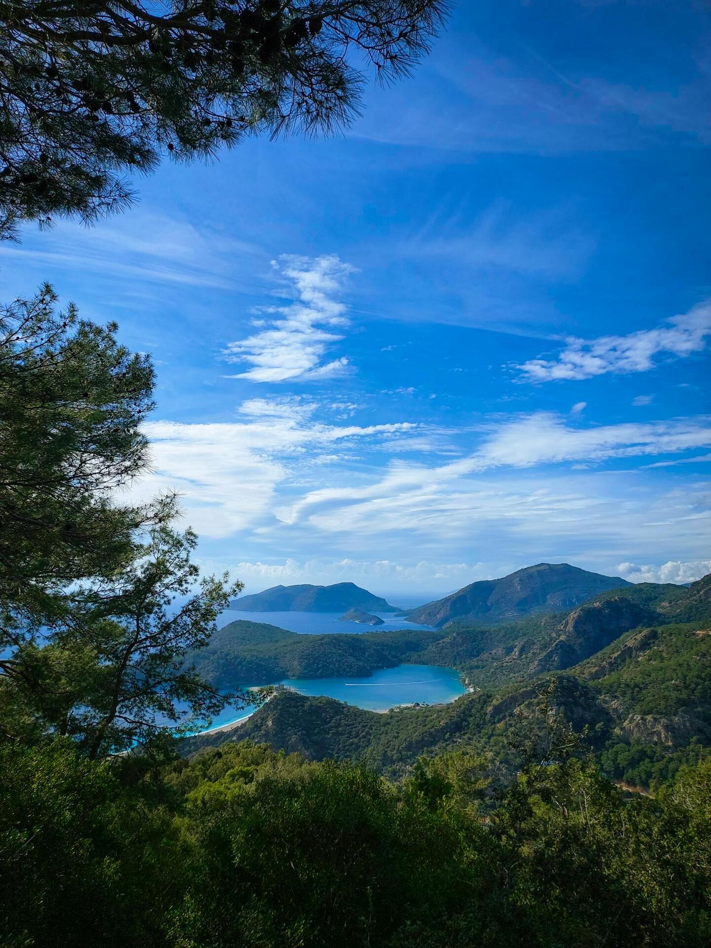 Pine forest above the Ölüdeniz coast