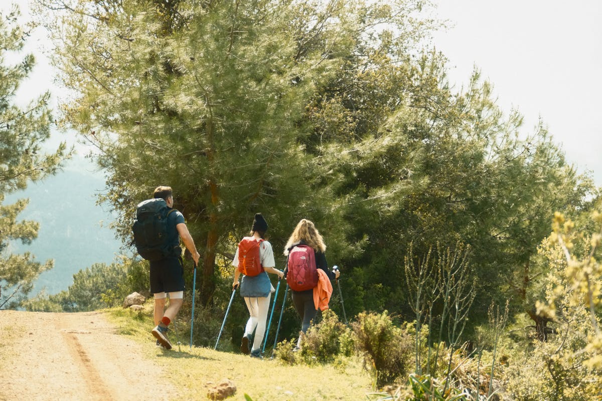 Trois marcheurs de dos dans une longue montée